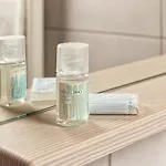 Shishka 卢布尔雅那