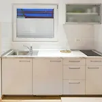 Shishka * 卢布尔雅那