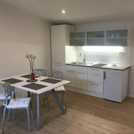 Shishka Apartment