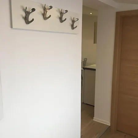 Apartment Shishka