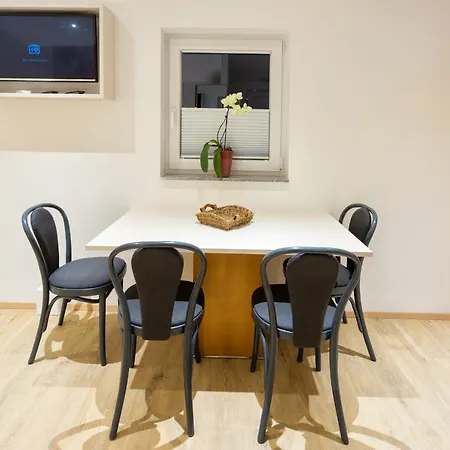Shishka Apartment Ljubljana